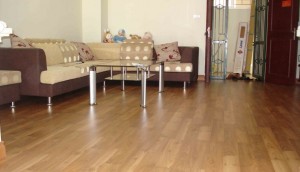 Lựa Chọn Màu Sàn Vinyl Giả Gỗ Cho Phòng Khách