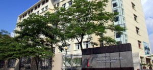 Ván lót Sàn Nhựa Giả Gỗ Sử Dụng Cho Đại Học Thăng Long Hà Nội