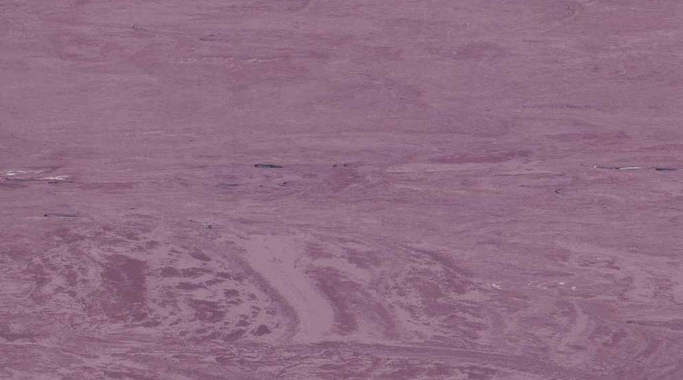 Sàn Vinyl Gerflor 2026