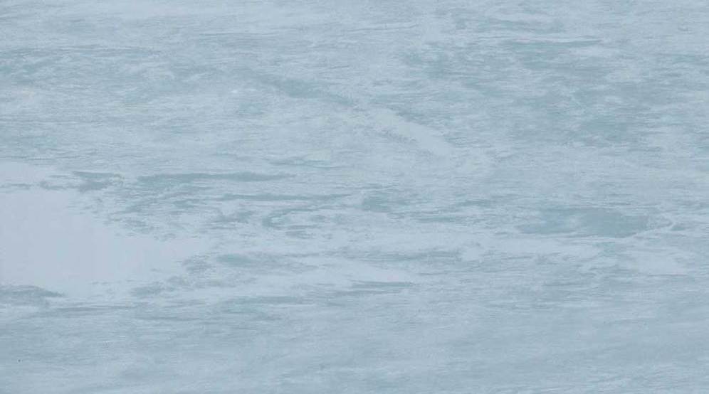 Sàn Vinyl Gerflor 2028