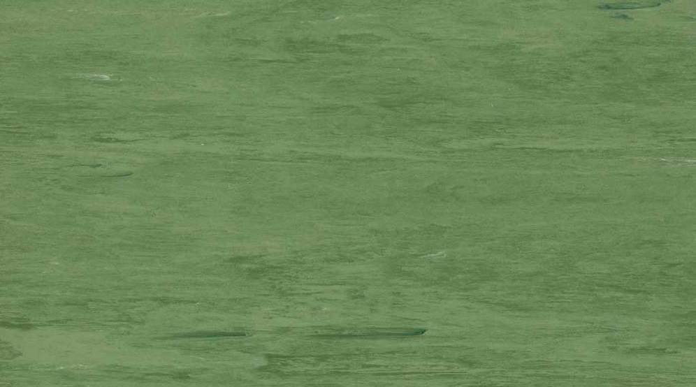 Sàn Vinyl Gerflor 2031