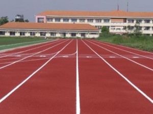 Đường Chạy Chất Lượng Cao Sử Dụng Sàn Nhựa Tổng Hợp
