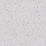 Sàn Vinyl Tĩnh Điện M807