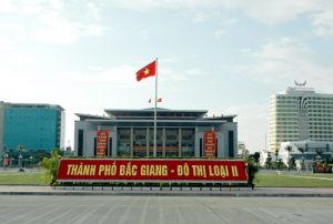 Sàn Nhựa, Sàn Nhựa Vinyl, Sàn Vinyl Thể Thao Tại Bắc Giang