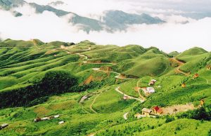 Sàn Nhựa Vinyl, Sàn Nhựa Hèm Khóa, Sàn Vinyl Thể Thao Tại Cao Bằng