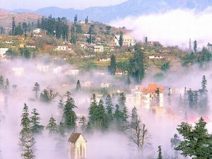 Sàn Nhựa Vinyl Tại Lào Cai