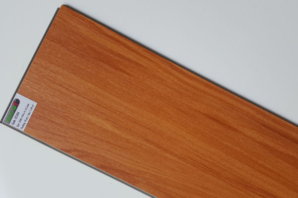 Sàn Nhựa Ecost 404