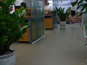 Tại Sao Dùng Nhựa Trải Sàn Cho Văn Phòng?