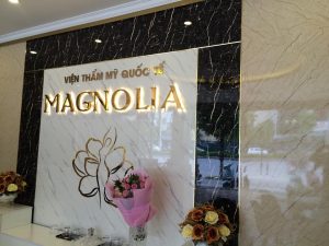 Báo Giá Thi Công Tấm Nhựa PVC Giả Đá Marble Hoa Cương Tại Hà Nội