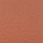 Sàn Thể Thao Coral 5033