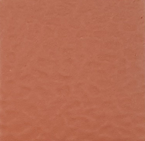 Sàn Thể Thao Coral 5033