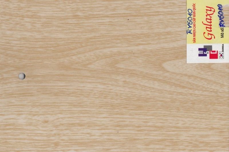 Galaxy RV 6010 – 3mm