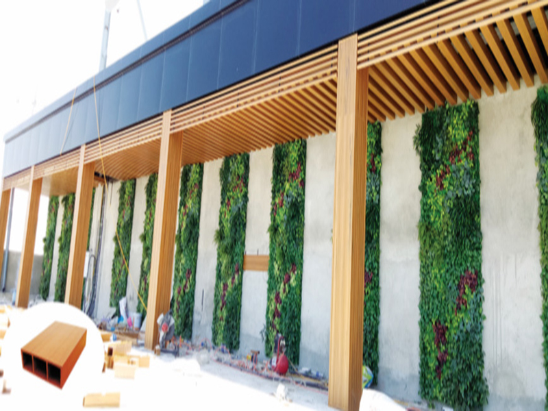 Á Đông Floor Thanh Đa Năng EW50T16 .