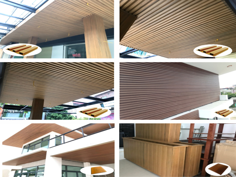 Tấm Ốp Ngoài Trời EW100T10 .