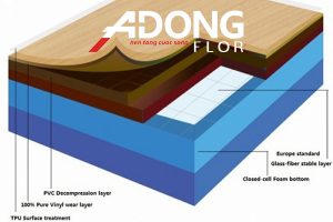 Cấu Tạo Của Sàn Thể Thao