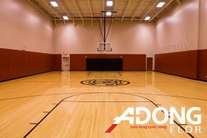 Ưu Điểm Và Ứng Dụng Sàn Vinyl Thể Thao