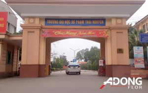 Sàn vinyl thể thao – nhà đa năng Trường ĐH Sư phạm Thái Nguyên